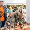 Koningsdag 2024